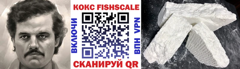 Купить где  Советск  КОКАИН FishScale 