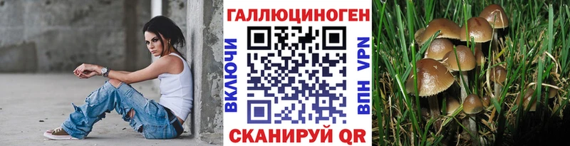 Галлюциногенные грибы Psilocybine cubensis  Купить где  Советск 